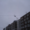 snow 019